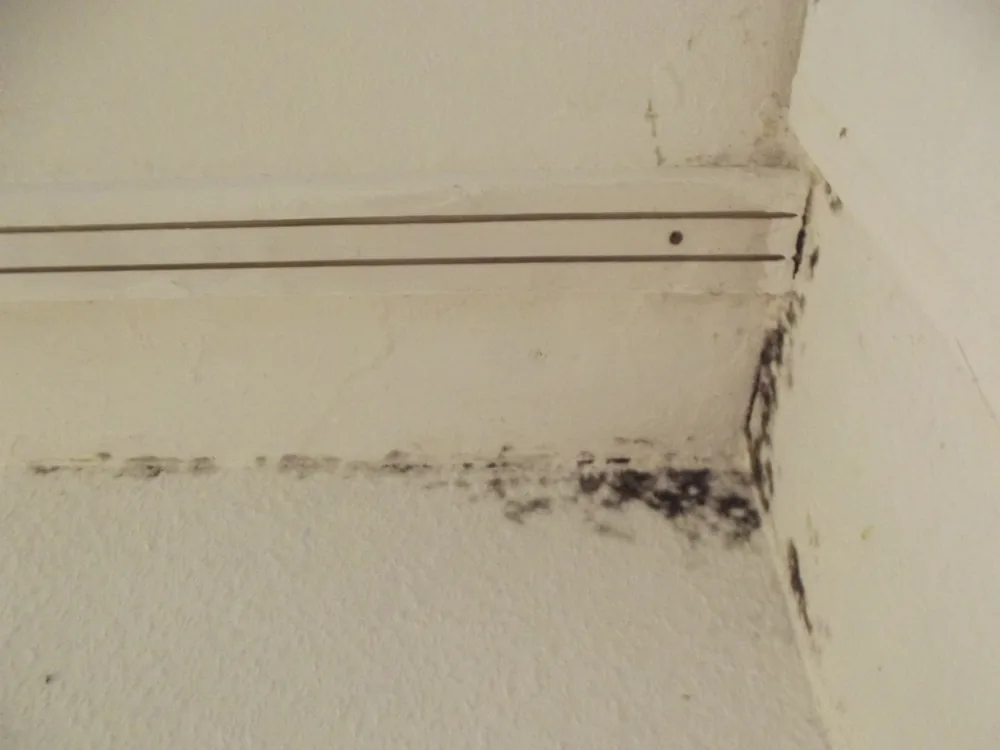 Technician in protective gear removing a mold-damaged wall in a Mantua home